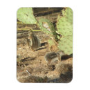 Suche nach mein eichhörnchen magnete Für sie/ihn