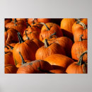 Suche nach orange kürbis poster Herbst