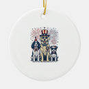 Suche nach vintage stickerei ornamente Amerikanischeflagge