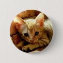 Suche nach kitt buttons Katze