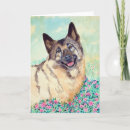 Suche nach norwegisches elkhound karten Welpe