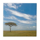 Suche nach ebene fliesen Feld