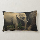 Suche nach elefant foto kissen Elefantenfoto