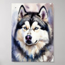 Suche nach husky poster Aquarell