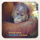 Suche nach orang utans untersetzer Jede person
