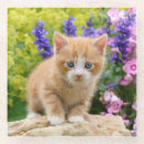 Suche nach katzenliebhaber untersetzer Für kinder