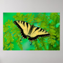 Suche nach blauer tiger poster Blume