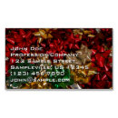 Suche nach feiertag visitenkarten Weihnachtsgeschenk