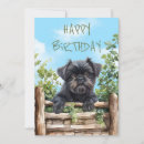 Suche nach affenpinscher karten Niedlich