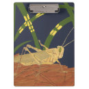 Suche nach gras klemmbrett Feld