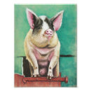 Suche nach piggy poster Tiere