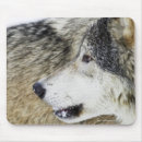 Suche nach grauer wolf mousepads Hund