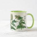 Suche nach nightshade Flora