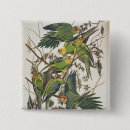 Suche nach bird buttons Vogel
