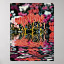 Suche nach reflektieren poster Blume
