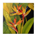 Suche nach paradiesvogel fliesen Blume