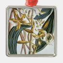 Suche nach sammlung ornamente Buchoz