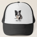 Suche nach collie kappen Grenze