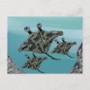 Suche nach manta ray postkarten Meer