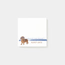 Suche nach brillen post it Jede person