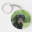 Suche nach haarig schlüsselanhänger Foto