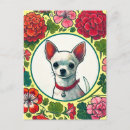 Suche nach niedlicher chihuahua postkarten Rasse