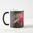 Suche nach cattleya kaffee tassen Blume