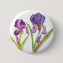 Suche nach schwertlilie buttons Blume