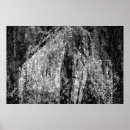 Suche nach versteckt poster Blätter