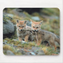 Suche nach roter fuchs mousepads Säugetier