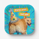 Suche nach corgi party teller Lustig