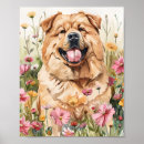 Suche nach chow chow poster Hund