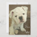 Suche nach bulldog einladungen Welpe