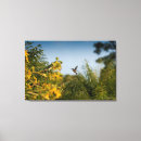 Suche nach kolibris leinwandbilder Wildtiere