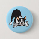 Suche nach terrier buttons Haustier