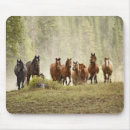 Suche nach kleines pferd mousepads Tier