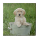 Suche nach eimer untersetzer Tier