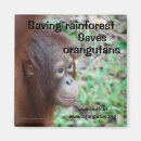 Suche nach orang utans magnete Tier
