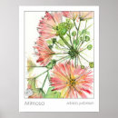 Suche nach rosa pflanzen poster Jede person