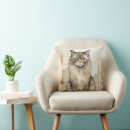 Suche nach maine coon kissen Katze