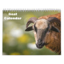 Suche nach ziege kalender Tier