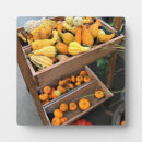 Suche nach kürbis fotoplatten Herbst