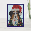 Suche nach berner sennenhund karten Für alle