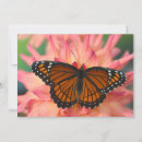 Suche nach fleck karten Schmetterling