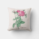 Suche nach rosa centifolia Blume