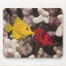 Suche nach rote fische mousepads Usa