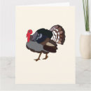 Suche nach türkei karten Wild