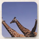Suche nach giraffen untersetzer Himmel