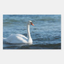 Suche nach cygnus aufkleber Vogelvogel