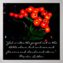 Suche nach rote beere poster Beeren